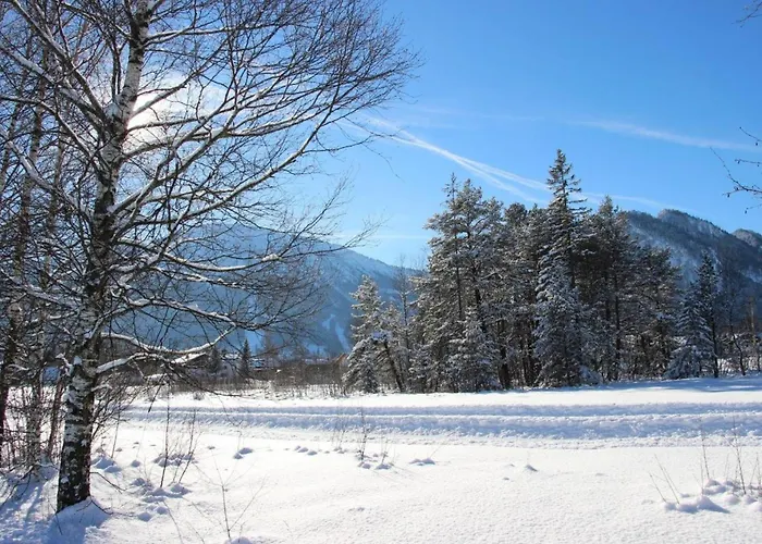 Apartman Alpenblick Am Kienberg *